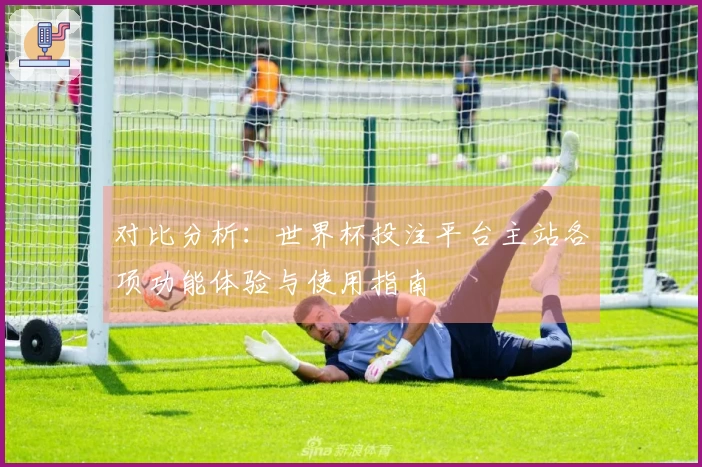 对比分析：世界杯投注平台主站各项功能体验与使用指南