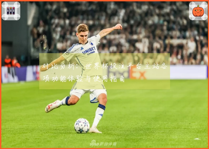 对比分析：世界杯投注平台主站各项功能体验与使用指南