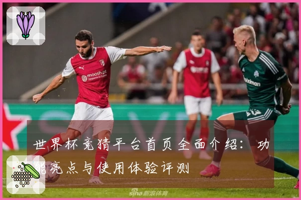 世界杯竞猜平台首页全面介绍：功能亮点与使用体验评测