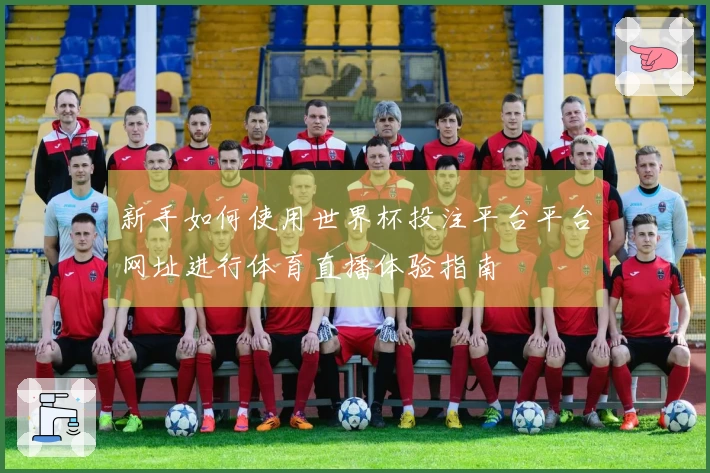 新手如何使用世界杯投注平台平台网址进行体育直播体验指南