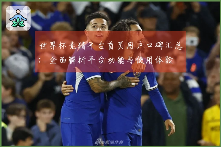 世界杯竞猜平台首页用户口碑汇总：全面解析平台功能与使用体验